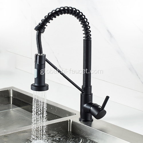 Single Lever Kitchen Tap Spring Dual Spout Mixer Sprayer Sink Tap Supplier